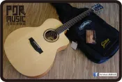 【搖滾玩家樂器】全新 Woodtone GA-30C 面單板 缺角型 木吉他 GA桶身 民謠吉他 GA30C