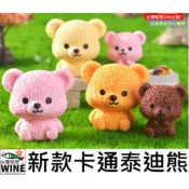 WINE台灣惟恩  微景觀 新款卡通泰迪熊 泰迪熊 小熊 熊 多肉 造景 佈置 場景佈置