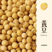 (店+)｜大台南五穀糧倉｜600g 1斤 黃豆 加拿大黃豆 非基因改造 DG黃豆 豆漿 黃豆粉 五穀雜糧