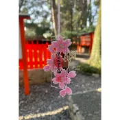 ⭐️現貨 日本 京都 下鴨神社 賀茂御祖神社 櫻花守 御守