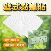 壁式黏蠅貼 透明款蒼蠅貼 捕蠅貼 黏重貼 害蟲消除