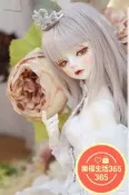 【樂福】FOC Tristan Aurora ver. Limite