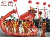 9節綢布龍10套服裝【服滿來】舞龍舞獅國標龍舞龍到據表演民俗技藝競技筆賽學校廟會或動開張BECS