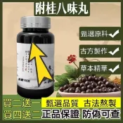 免運正品 防偽可查【隔日達】附桂八味丸 倪海厦推薦 附子、肉桂、熟地黃、山藥、山茱萸、澤瀉、茯苓、牡丹皮 茶包 養生茶