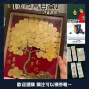 髮財樹diy相框材料包金錢樹手工粘貼畵擺件裝飾生日開業送禮0524a