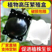 連盛 滿300發 植物高壓繁殖盒子花木控根器扡插嫁接苗木生根球粉劑通用盆景工具 向日葵優品