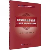 創新管理與持續競爭力叢書·非營利組織創業與發展