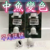 滿額免運🔥 刷卡可分六期 中魚警示燈 中魚變色 竿尾燈 竿尾亮光 綠光變紅光 震動 沉底 磯釣 變色燈 中魚燈 警示燈