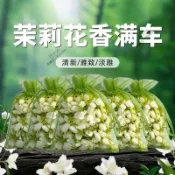 WEICA 維爾卡特 茉莉香包 汽車香氛袋 衣櫥芳香包 乾燥花香囊 車用除臭 去味 淨化空氣 孕嬰可用 衣櫃 廁所 房間