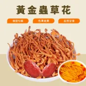 (店+)【本草養生】黃金蟲草調理包（北蟲草）｜100g｜國家標準檢驗合格