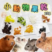 小動物果乾 小寵點心 天然果乾 水果乾 分裝包 乾燥果乾 倉鼠點心 倉鼠零食 磨牙點心 兔子零食 龍貓 天竺鼠 刺蝟