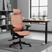 【Costco好市多】ERGOKING S5 人體工學椅 黑框橘網 ERGOKING S5 Ergonomic Mesh Chair Black Frame Orange Mesh