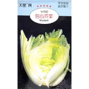 【台灣出貨 電子發票】包心芥菜 種子 菜籽 水耕 芥菜 蔬果 家庭園藝 天星牌 空中花園藝世界 V-562