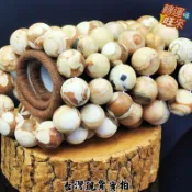 【台灣現貨】天然 珊瑚 舍利 龍宮 手珠 20mm 礦石 精品 擺件 飾品 轉運 開運 招 財 好運 靈招 人緣 桃花