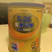 S26金愛兒樂 Singapore