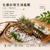 【鮮味】(批發專區) 宏都拉斯 生凍龍蝦 21p 箱/10公斤