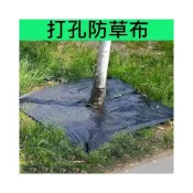 (店+)打孔防草布 果樹 除草布 果園 蓋布 園林 防草地布 遮草布 除草布 園藝 切片草布