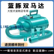 便宜有好貨 【物美價廉】藍豚雙馬達寵物吹水機狗狗大功率小型大型犬專用吹毛神器吹烘干機