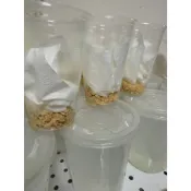 當天寄出無翅小果蠅/殘翅大果蠅的果蠅杯（無果蠅無活體）箭毒蛙樹蛙螳螂跳蛛變色龍
