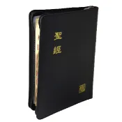 聖經｜6系列新標點和合本聖經 中型【🐟小魚兒書坊】神版｜上帝版｜台灣聖經公會｜膠面｜硬面｜拉鍊皮面聖經