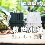 熱銷│蕨世好盆 蕨世小盆 3、4、5吋 園藝資材 多肉 蕨類 球根 植物 盆器 塑膠盆 栽培神器【阿金的便秘花園】