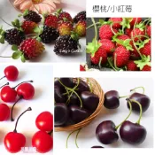 現貨✔仿真【櫻桃串/桑葚/小紅莓】靜物食物模型櫥窗佈置實品屋攝影道具會場佈置