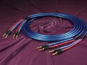 原裝行貨萬隆Neotech尼威特 UPOCC 6N單晶銅 NES-3004 II喇叭線