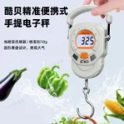 💖臺灣-出貨💖高精準便攜式手提電子秤小型隨身60kg稱魚器行李快遞計重吊鉤磅數03Hd