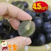 【百利市購物中心】【果之家】苗栗卓蘭特級巨峰葡萄4.5台斤裝