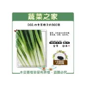 (店+)【蔬菜之家】D02.四季蔥種子約300顆 葉蔥 三星蔥 種子 日本進口 香味濃.味甜.抽苔晚 蔥類 蔥