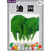 【野菜部屋~】E12 油菜種子22.5公克 (約8000粒)葉 莖 蕊花均可食用~