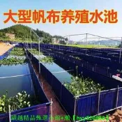 【現貨可開發票】帆布魚池家庭遊泳池陽臺庭院加厚養魚專用加固雙層支架戶外蓄水池