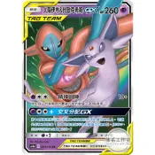 萬卡坊 / 寶可夢 中文版 AS6a 043 太陽伊布&代歐奇希斯GX TT 閃卡 RR