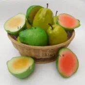 🔥優惠🔥仿真番石榴模型芭樂果擺件假水果蔬菜家裝飾品玩具櫥櫃展示樣品果769