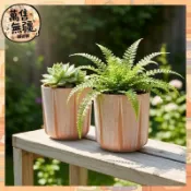 透氣復古粗陶盆多肉綠植帶托盤防爛根室內戶外通用圓形花盆套裝 🚀萬售無疆雜貨鋪🚀