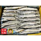 【蘭陽餐飲食材行】船凍 特級秋刀魚 ( 約10kg / 箱購 ) 海鮮 水產 魚類 海產 → 生的 營業用 整箱划算 ( 此為冷凍宅配品號 )