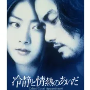 BD藍光日韓電影《冷靜與熱情之間》2001年日本劇情愛情片 陳慧琳 / 竹野內豐 超高清1080P BD藍光碟全新盒裝