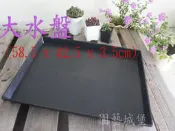 【園藝城堡】大水盤58.5*42.5*3.5cm (端盤、穴盤)