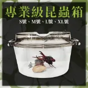 專業級昆蟲箱  甲蟲貝殼箱 手提飼養箱 飼養箱 手提箱 昆蟲箱 貝殼箱 寵物箱