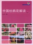 【三民網路書店】中國杜鵑花解讀（簡體書） 作者：耿玉英