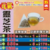 蔘大王 【元氣靈芝茶】✔苦澀口感▪樂齡銀髮族▪活力自在▪無茶鹼立體茶包▪買5送1║相關產品：巴蔘茶 枸杞汁 若羌棗 椰棗 淮山藥 七葉膽 蜜糖陳皮 迷迭香 麥門冬茶#HB30