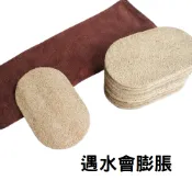 絲瓜絡 天然菜瓜布 菜瓜布 洗碗刷  菜瓜布 絲瓜布 絲瓜 洗碗布