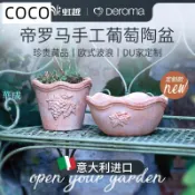 華成 新品帝羅馬葡萄圓形花盆紅陶透氣義大利多肉香草粗陶種植盆栽陶土盆
