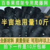 協貿國際日用品生活12館 百香果搭棚網搭架專用爬藤網棚架子網攀爬網植物種植網沃柑網瓜果