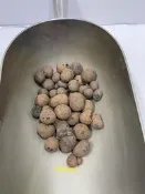 ~小強的家~發泡煉石(大粒)~/園藝/造景/介質/木/盆栽/裝飾/蕨類/花園/庭園/排水/魚菜/慮水/石頭/