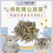 啃啃小鋪🥕特寵零食｜烘乾蒲公英葉｜龍貓天然花草草本系列/天竺鼠/兔子龍貓零食/牧草/日常保健點心草/纖維補充/挑嘴推薦