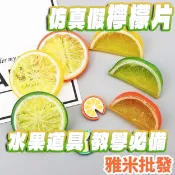 仿真假檸檬片 教學使用 拍攝道具 水果切片 仿真水果 假水果 檸檬片 水果道具 水果裝飾
