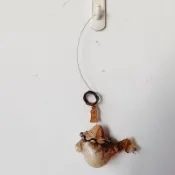 【拾元家免費送】旗津乾燥河豚吊飾（瑕疵）手工藝材料