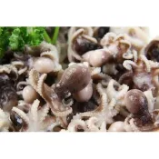 【禧福水產】一口小章魚/章魚燒/特A小板裝◇特價99元/200g/8/10/最低價熱炒快炒餐廳團購夜市燒烤日本料理居酒屋