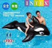 【INTEX 原廠正品_黑鯨水上漂浮坐騎_可乘雙人 】游泳戲水_保固/鑑賞 (REIKO)WA-C112